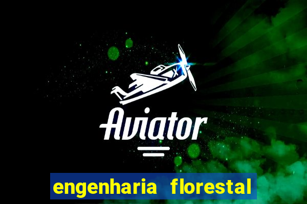 engenharia florestal ead cruzeiro do sul